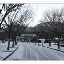 대천공원 입구 이미지