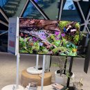 밝은미소스토어 | 신혼가전견적 광교 갤러리아 삼성스토어 후기