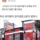 초록빛유치원 네이버블로그