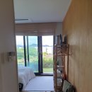 오션피드 이미지