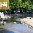 거락숲 대량마을 이미지