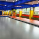 한국체대화랑태권도 이미지