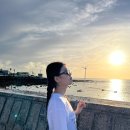 제주 여행 EP.3(갈치왕 중문본점/오설록 티 뮤지엄/호텔 샌드/판포스테이/저바다에누워/판포포구/싱싱잇)