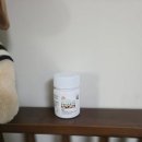 플래너리랩 멜라너리 식물성 멜라토닌 5mg 이용후기