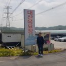 대산육묘장 Daum카페