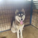 왜관중앙초등학교 이미지