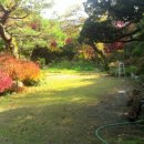 내곡동480 이미지