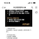부산펫렛펫택시 네이버블로그