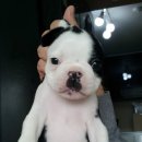 퍼스트에비뉴안경원 이미지