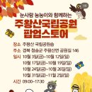 인형의 거리(뱀) | 알레버스타고 주왕산 등산(feat.곰탕 후에 맑음 ) | 국립공원 굿즈 인형 + 눙눙이 팝업스토어