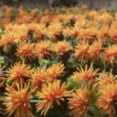 무드인디고 이미지