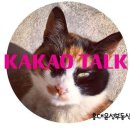 윤성공인중개사사무소 이미지