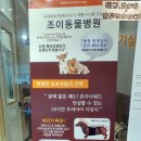 오엔동물병원