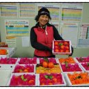 소중농장 이미지