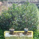 생명농장 이미지