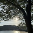 남해-318 | [남해] 유서방 회 떠가시다 | 남해가면 전화예약하고 꼭 먹어봐야하는 내돈내산 모듬회 포장맛집 후기