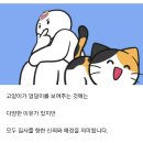 고양이가 집사 얼굴에 Don't go를 보여주는 여러가지 이유 이미지