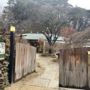 [강원 원주] 자연 속 감성 카페 ‘들꽃 이야기’ 완벽 리뷰