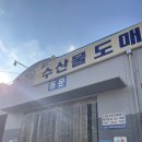 명품회수산 | 평촌 수산시장 맛집 신안수산 대방어회 후기