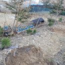 도화농장 이미지