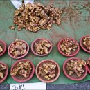 춘양약국 이미지