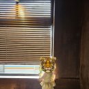 그린조이대구 | 대구 동구 신암동 신상카페 더스키브라운/동대구역