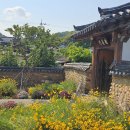 심심풀이 오징어땅콩이 왔어요!! 이미지