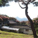 동화사거리(장성)
