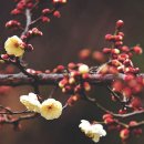 최*순 - 미추홀구 인주대로11번길 38 | 최*순