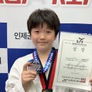 블랙벨트 태백 태권도장 이미지