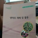 생약초 Daum카페