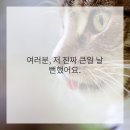 뽀드득치과 네이버블로그