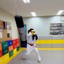 반야월태권도장 이미지