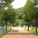 양주시 미술관 옆 캠핑장 이미지