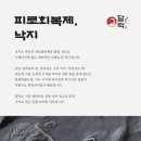 달락달리도낙지 이미지