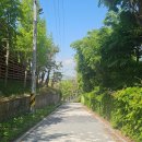 대원테니스장 이미지