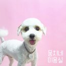 뭉치네 미용실 이미지