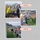 늘푸른케어