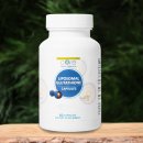 코어메드 이미지