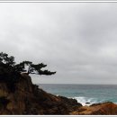 성류굴매표소앞 이미지