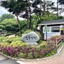 [우리 동네 체크인] 평택 바람새마을 소풍정원 이용 후기 (+캠핑장 예약 정보 🏕️)
