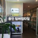 용인 팀버렙타일_키우다 죽은 사슴벌레 표본 만든 후기