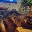 수심경로당 이미지