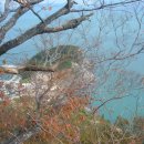 마르띠노 이미지