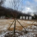 동막사거리공원 이미지