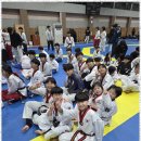 경희대박사 참태권도장 이미지