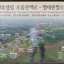 자연그리 이미지