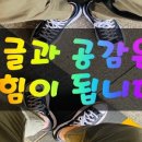 아일랜드 보인다펜션 이미지