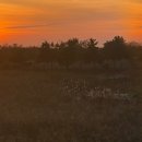 부안오토 이미지