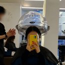 뉴헤어숍미용실 | 플랜 에이치 갈매동미용실 헤어 클리닉 후기